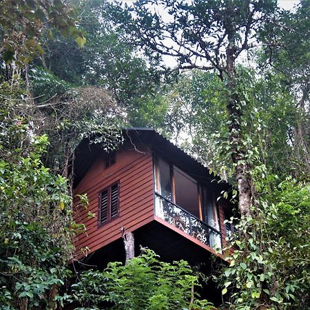 Вілла Tree6 Wayanad Витірі Екстер'єр фото