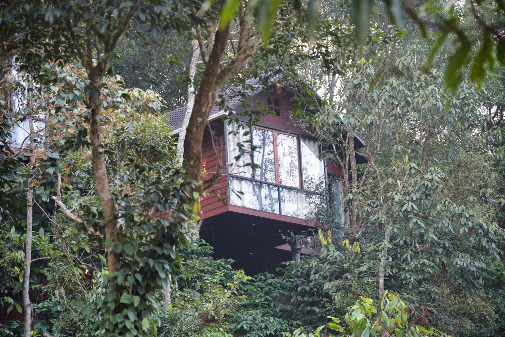 Вілла Tree6 Wayanad Витірі Екстер'єр фото
