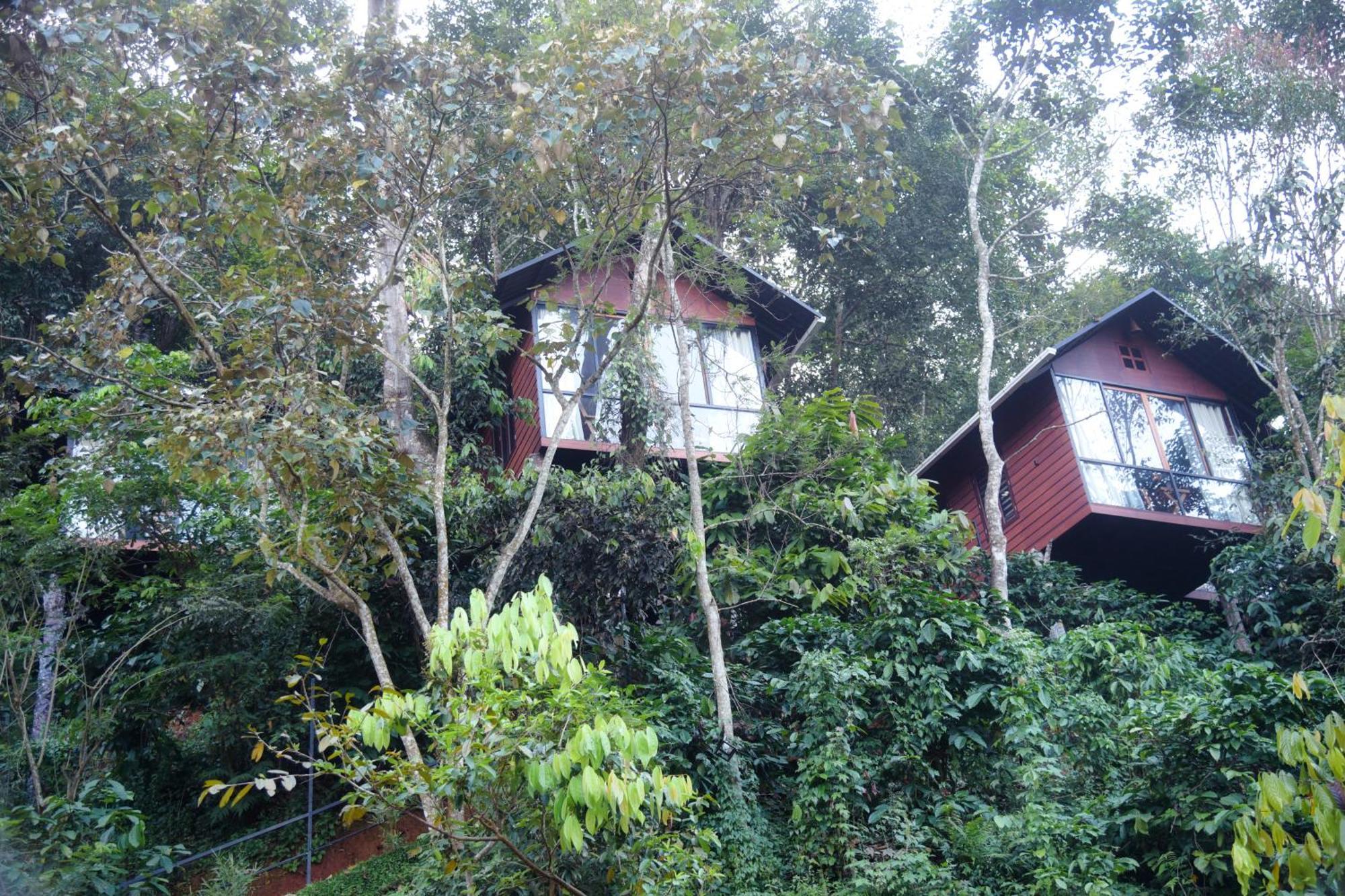 Вілла Tree6 Wayanad Витірі Екстер'єр фото