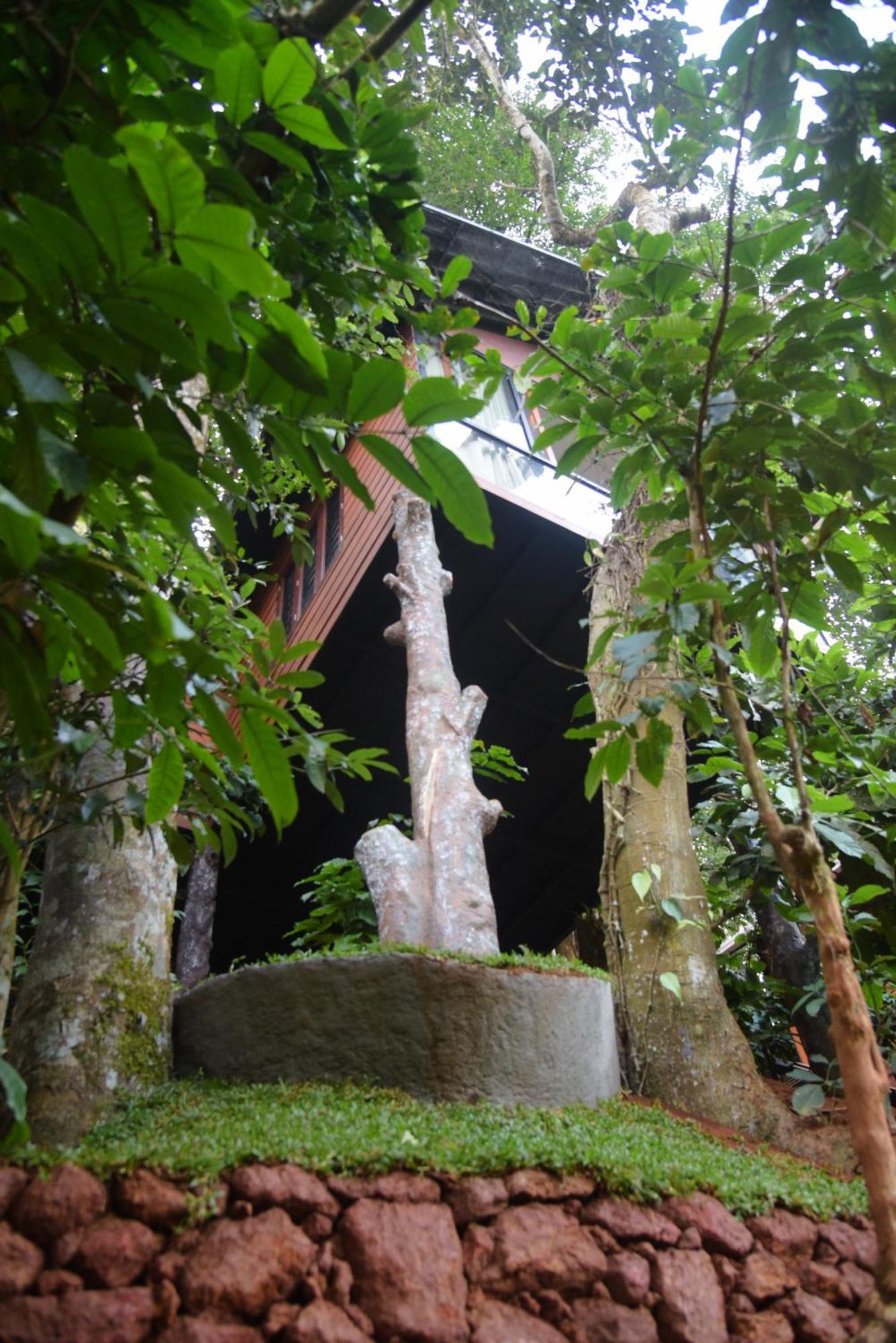 Вілла Tree6 Wayanad Витірі Екстер'єр фото