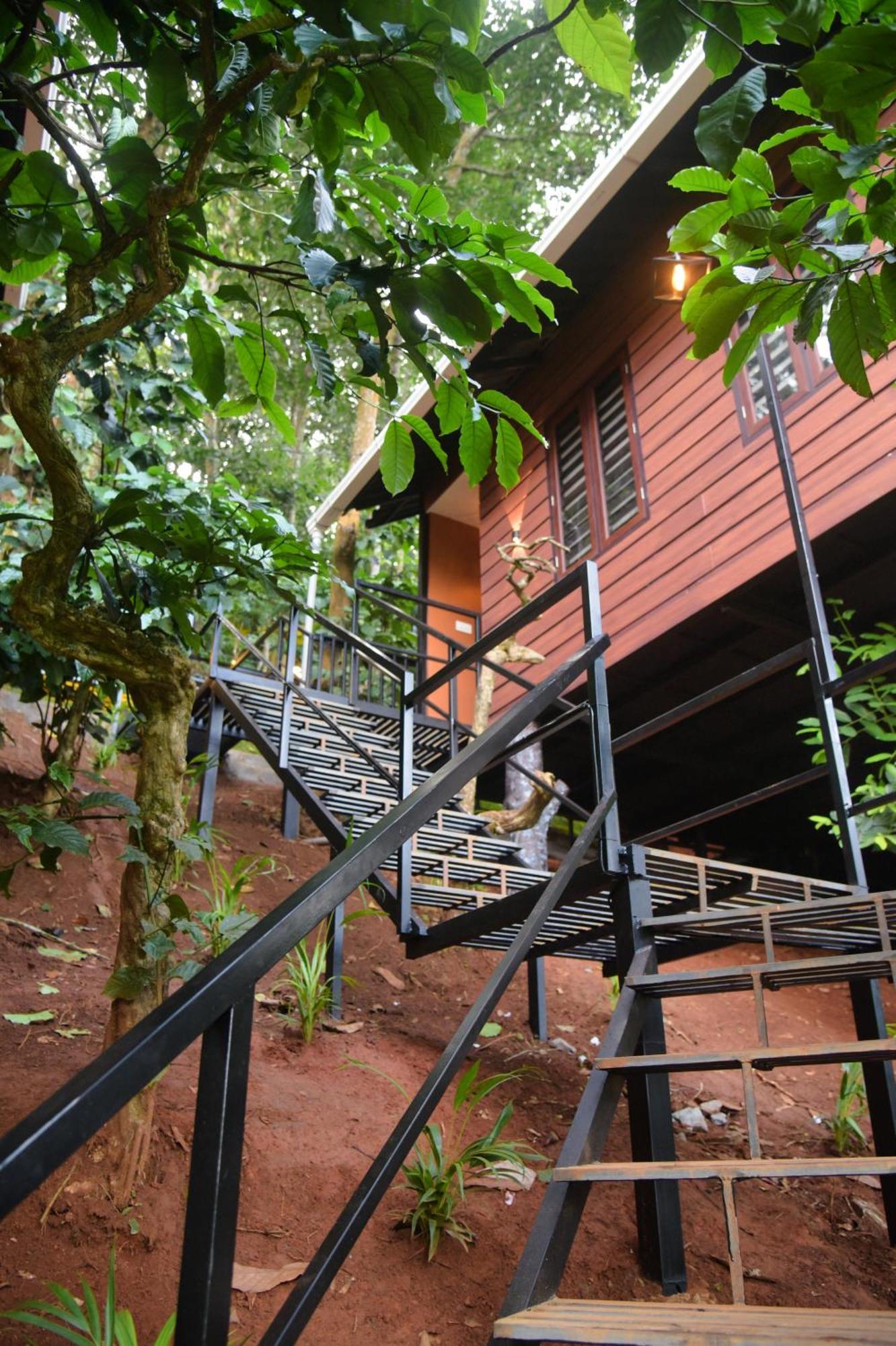 Вілла Tree6 Wayanad Витірі Екстер'єр фото