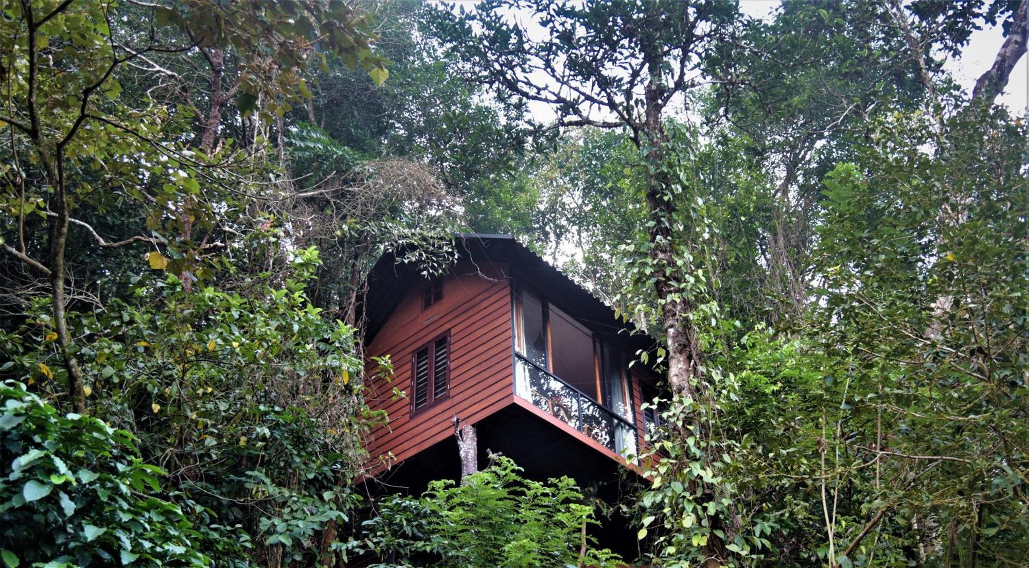 Вілла Tree6 Wayanad Витірі Екстер'єр фото